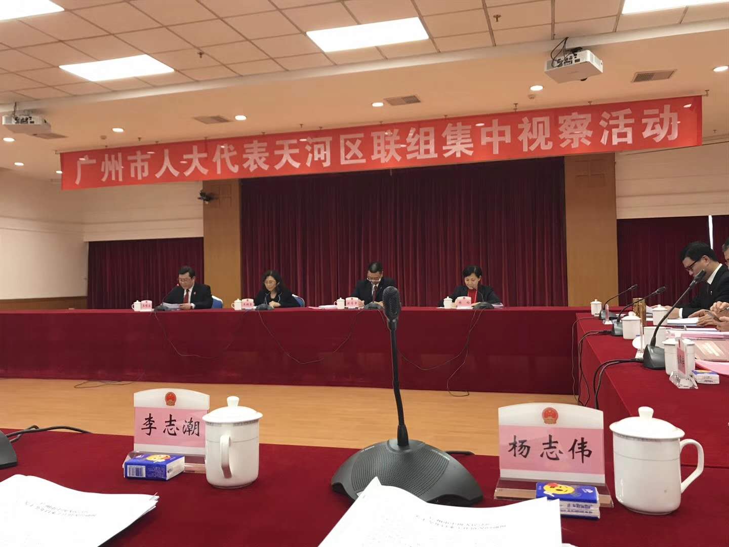 广州市人大代表天河区联组集中视察活动