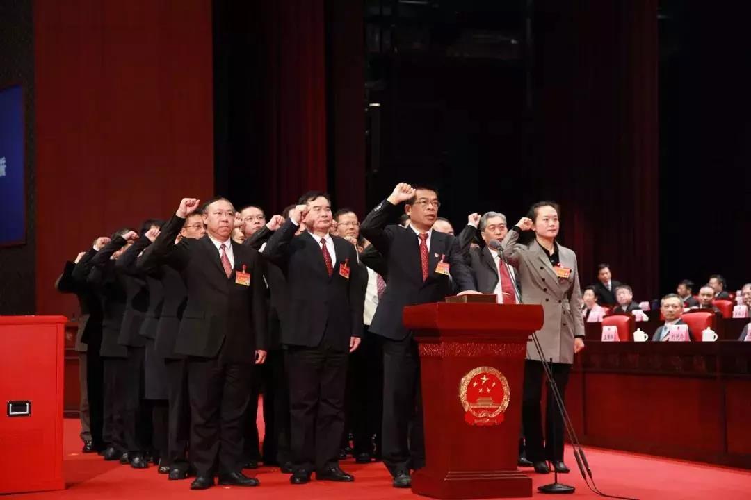 庄严时刻：杨志伟代表向宪法宣誓