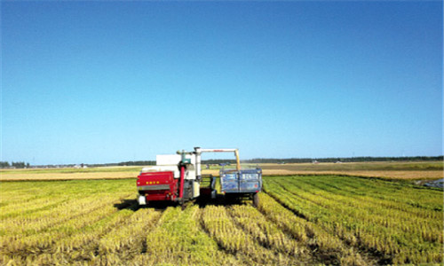 临潼试点农村产权制度改革 土地经营权可抵押贷款