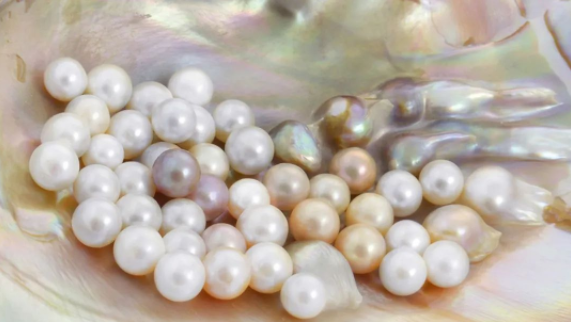 珍珠1.png